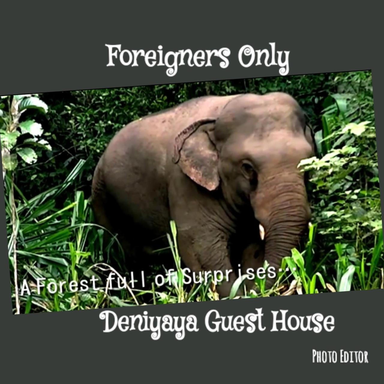 Deniyaya Guest House Bagian luar foto