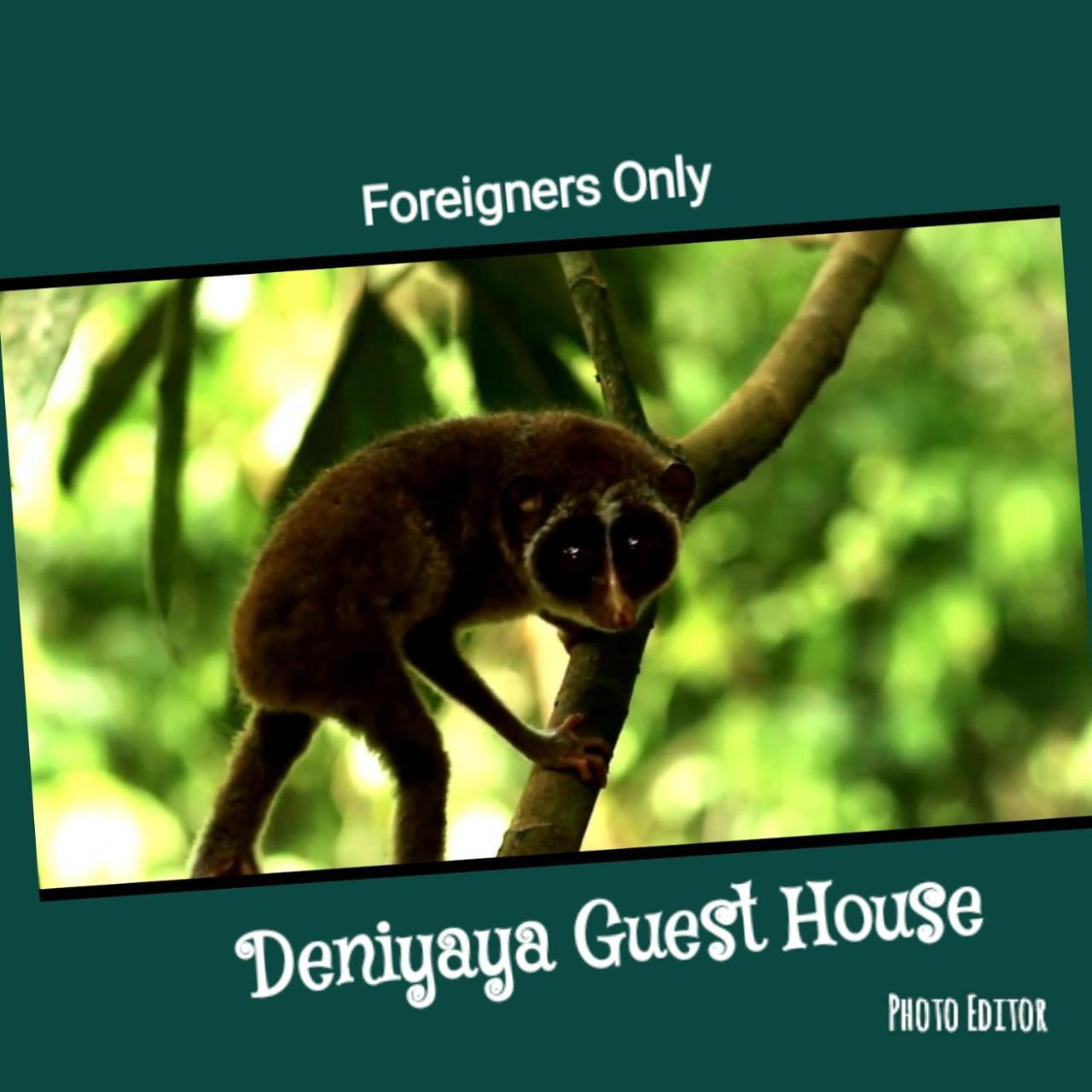 Deniyaya Guest House Bagian luar foto